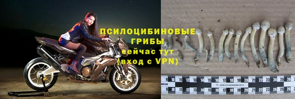ПСИЛОЦИБИНОВЫЕ ГРИБЫ Абинск