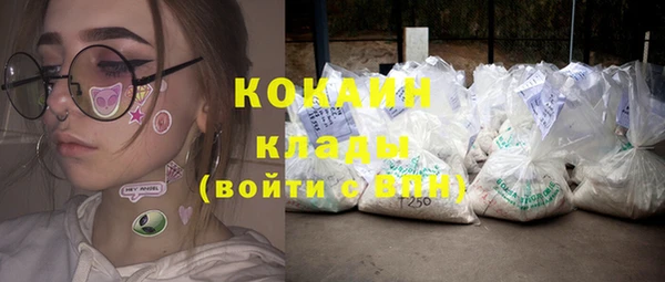 молекула духа Алексин